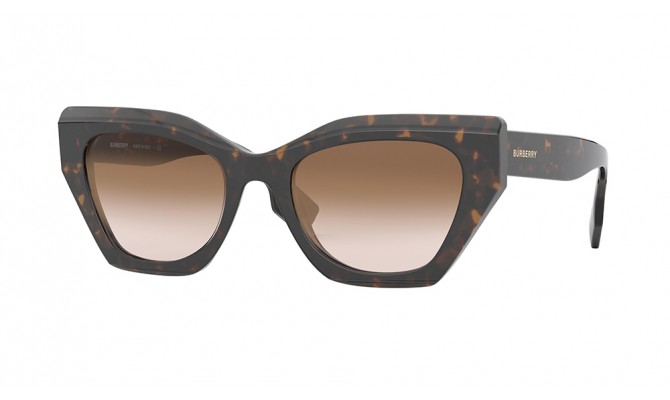Sunglasses Burberry CRESSY BE4299-383013