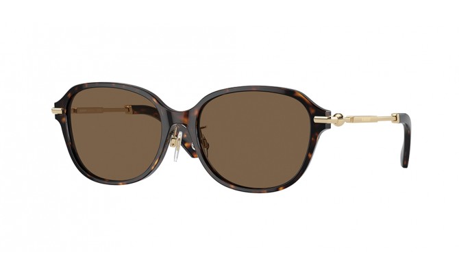 Sunglasses Burberry BE4429D-300273