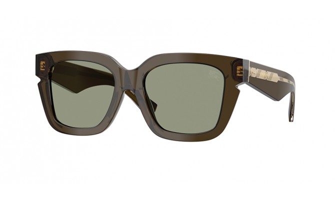 Sunglasses Burberry BE4453-3010/2