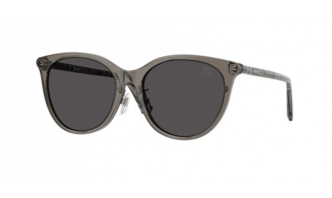 Sunglasses Burberry BE4464D-416087