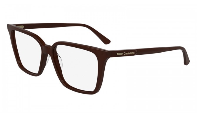  Calvin Klein CK24544N-601-55