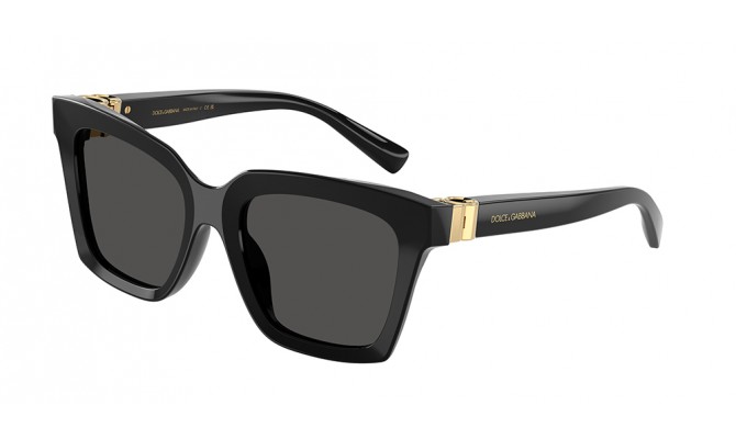 Sunglasses Dolce&Gabbana DG4498-501/87