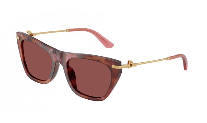 Sunglasses Dolce&Gabbana DG4511-344475