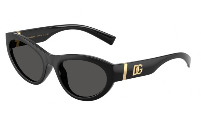 Sunglasses Dolce&Gabbana DG6207-501/87
