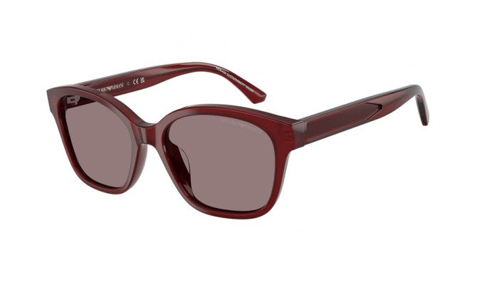 Sunglasses Emporio Armani EK4009U-63897N