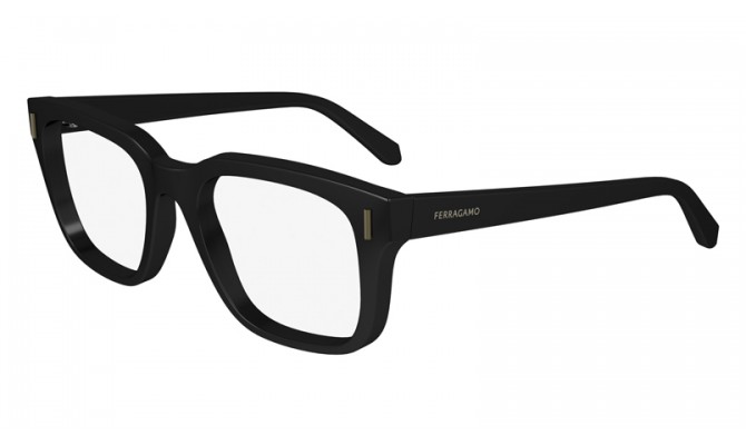  Ferragamo SF2996-001-54