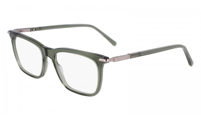  Ferragamo SF3007-317-56