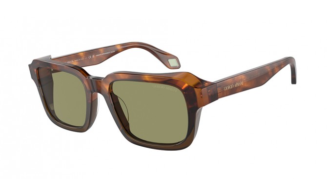 Sunglasses Giorgio Armani AR8194U-598814