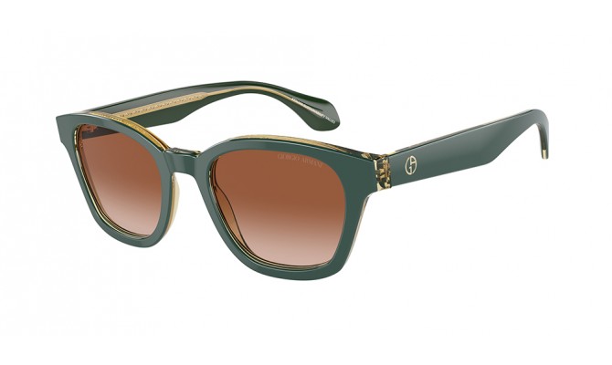 Sunglasses Giorgio Armani AR8207-608613
