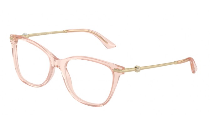  Jimmy Choo JC3007HB-5034-54