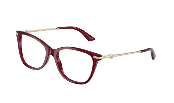  Jimmy Choo JC3007HB-5062-54