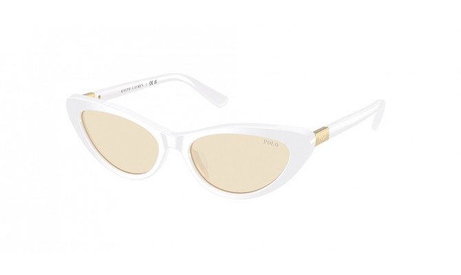 Sunglasses Polo PH4199U-5544/8