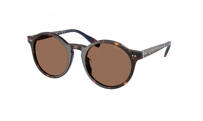 Sunglasses Polo PH4204U-567373