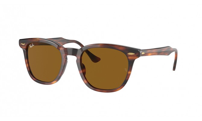  Ray-Ban ® Hawkeye RB2298-954/33