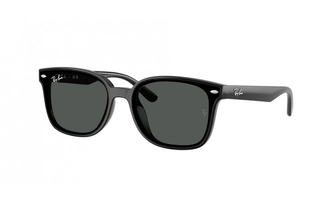  Ray-Ban ® RB4461D-601/87