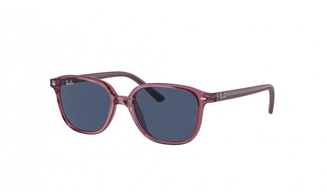  Ray-Ban ® Leonard Jr RJ9093S-711280