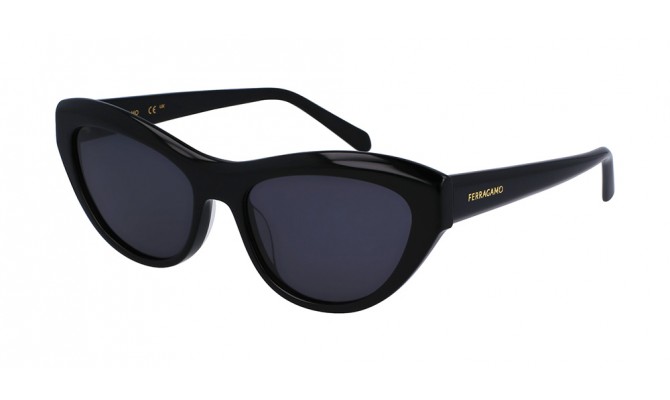 Sunglasses Salvatore Ferragamo SF1103S-001