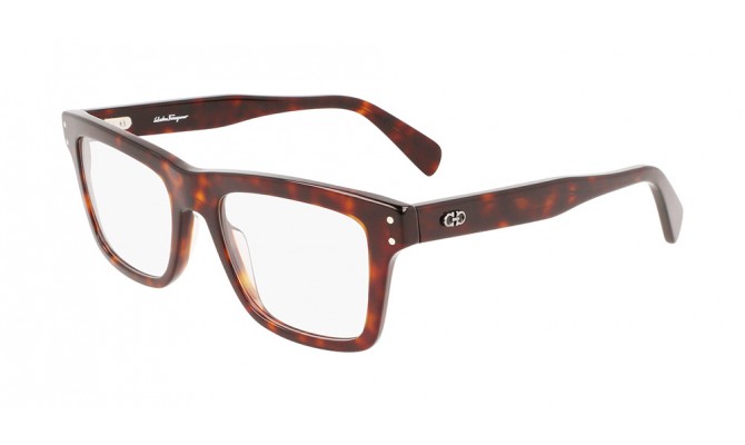  Salvatore Ferragamo SF2923-219