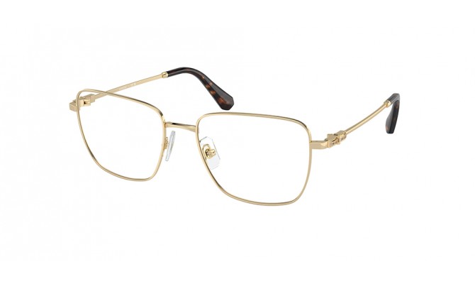  Swarovski SK1003-4013-55