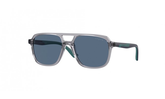 Sunglasses Vogue VJ2024-309980