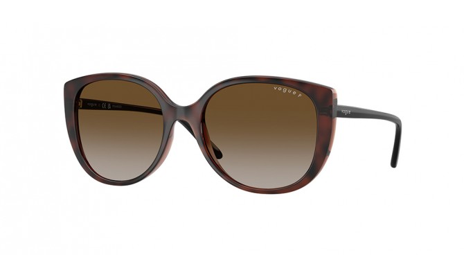 Sunglasses Vogue VO5623S-2386T5