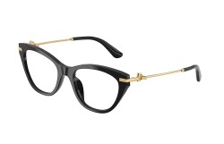 Dolce&Gabbana DG3428-501-53