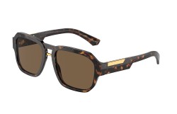 Dolce&Gabbana DG4464-502/73