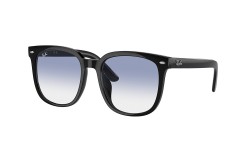 Ray-Ban RB4401D-601/19