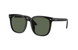 Ray-Ban ® RB4401D-601/71