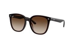 Ray-Ban ® RB4423D-714/13