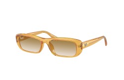 Ray-Ban ® RB4436D-668213