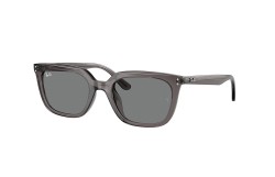 Ray-Ban ® RB4439D-667587