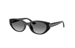 Ray-Ban RB4457D-667711