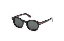 Zegna EZ0229-05N