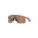 Oakley Resistor OJ9010-901017