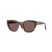 Persol PO3379S-105253