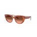 Ray-Ban ® DOREEN RB2286-1415A5