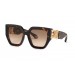 Roberto Cavalli SRC089-743