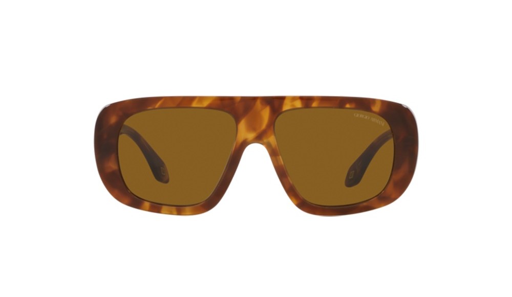 Sunglasses Giorgio Armani AR8183-598833