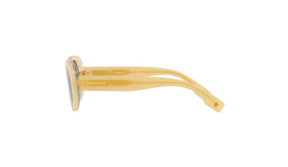 Sunglasses Burberry JB4339-39628E