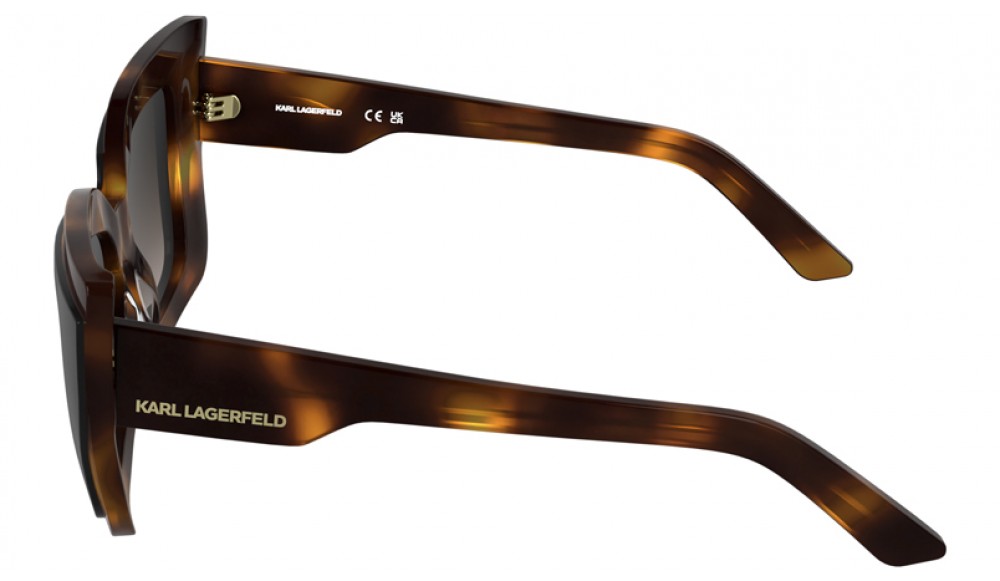 Sunglasses Karl Lagerfeld KL6204S-017