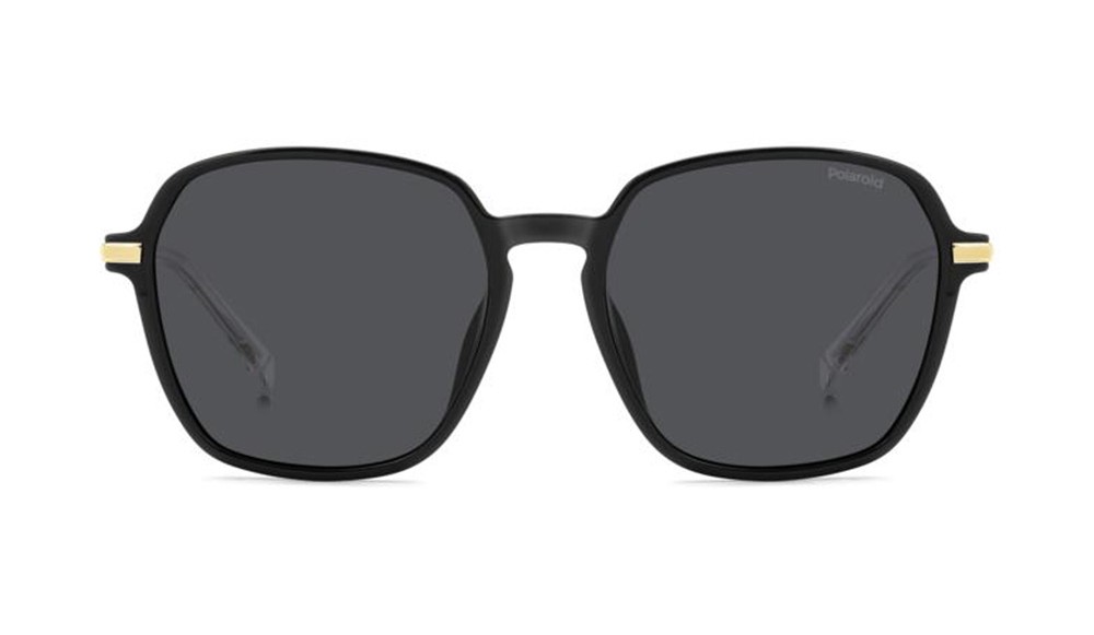 Sunglasses Polaroid PLD 4188/G/S/X-807 (M9)
