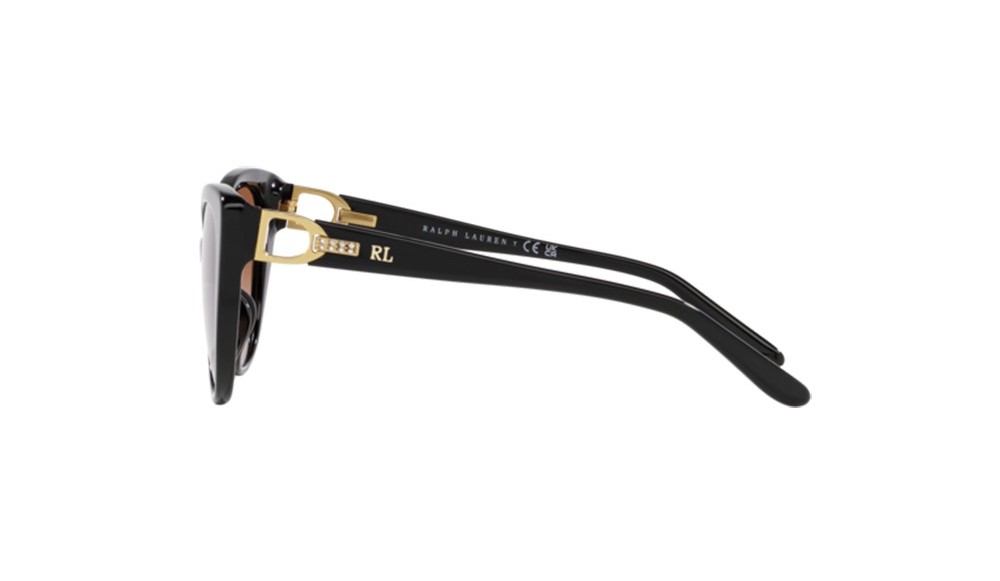 Sunglasses Ralph Lauren RL8215BU-500113