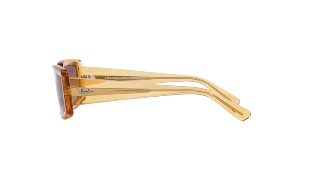  Ray-Ban ® Kiliane RB4395-66828H