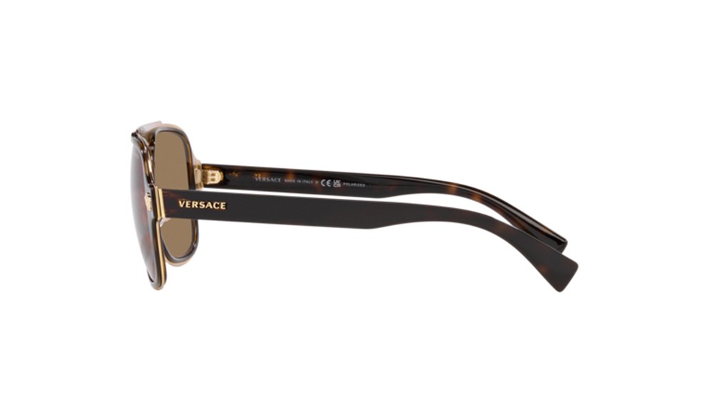 Sunglasses Versace VE2199-1252LA