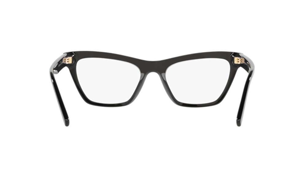  Dolce&Gabbana DG3359-501-53