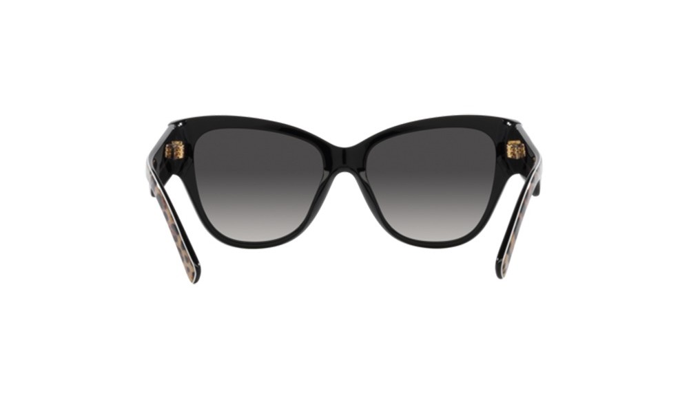 Sunglasses Dolce&Gabbana DG4449-31638G