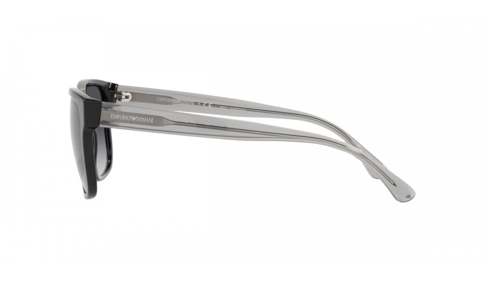 Sunglasses Emporio Armani EA4163-58758G