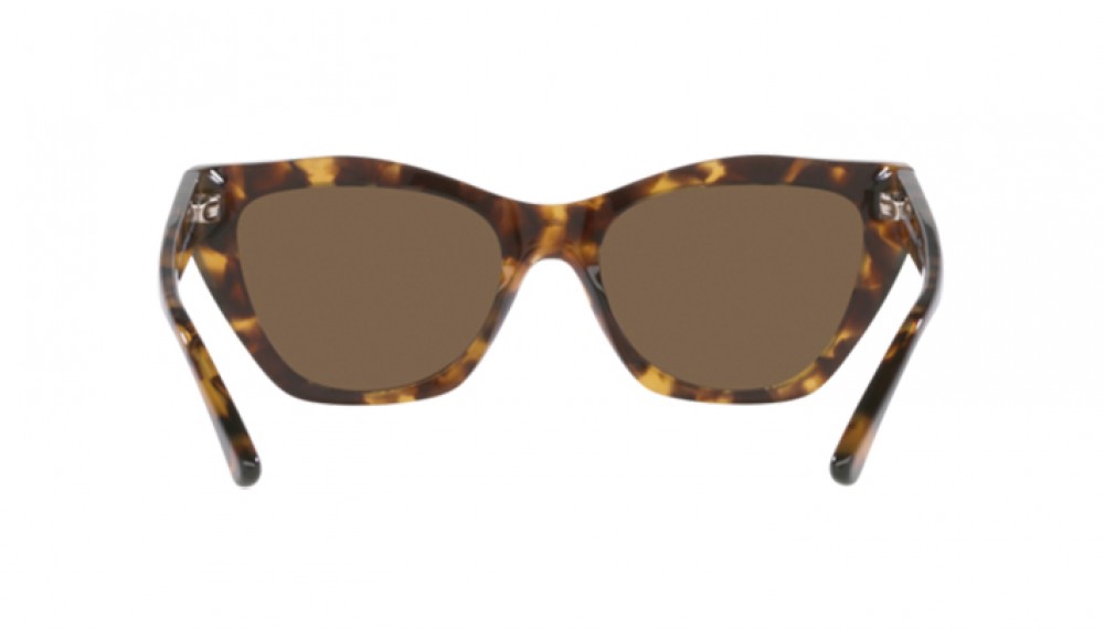 Sunglasses Emporio Armani EA4176-502573