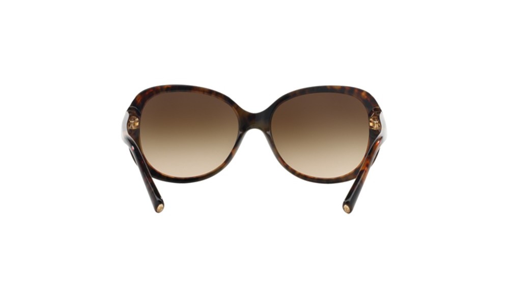 Sunglasses Giorgio Armani AR8047-504913